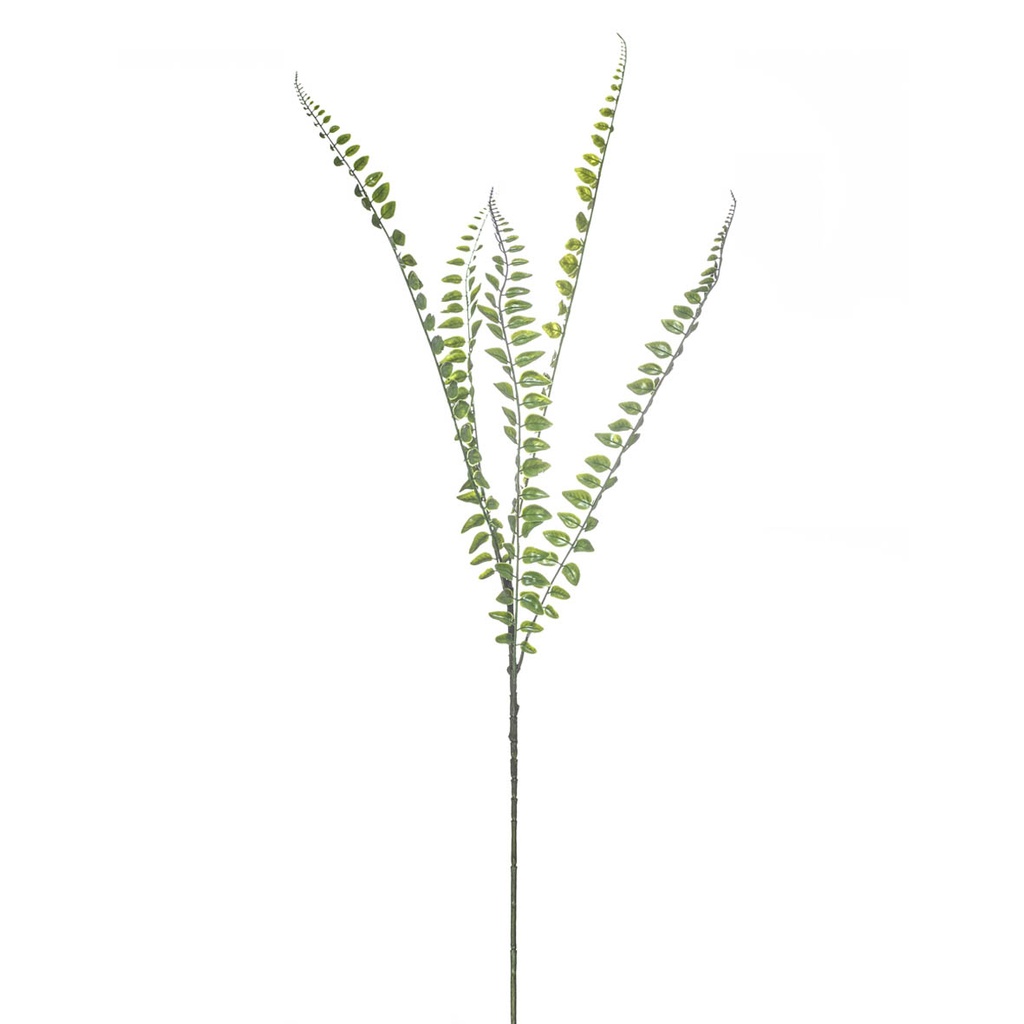Fern 5lvs 90cm