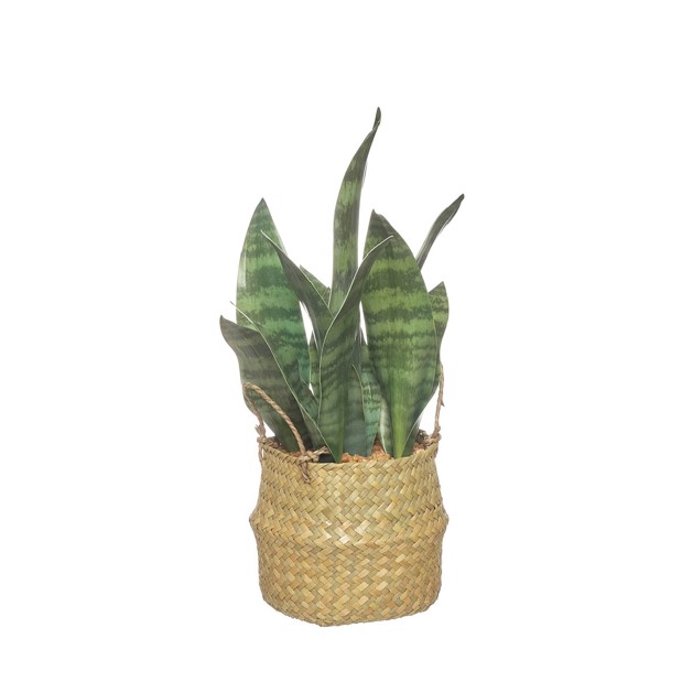 Planta artificial Sansevieria 40 cm