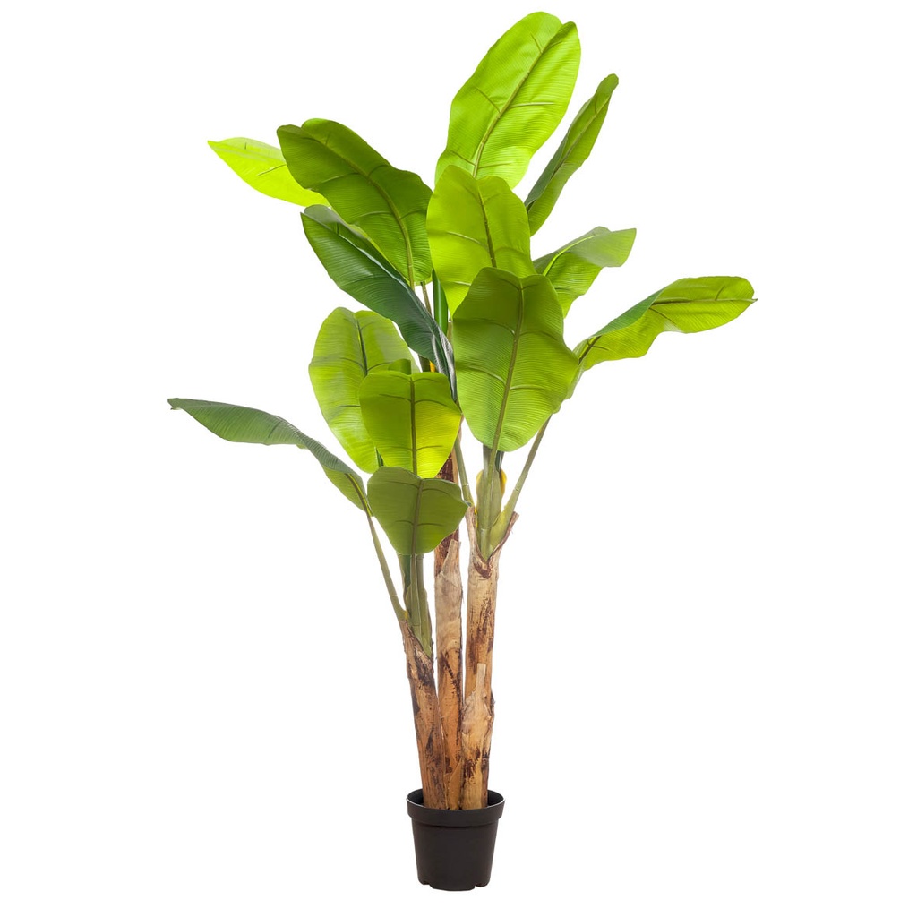 Planta artificial Bananera 200cm