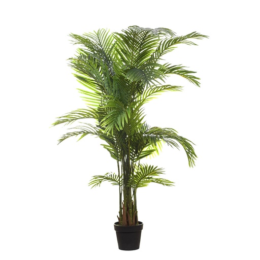 [2005-43328] Planta artificial Chrysalidocarpus 170cm
