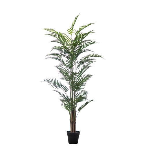 [2005-43207] Planta artificial Fern palm 180 cm