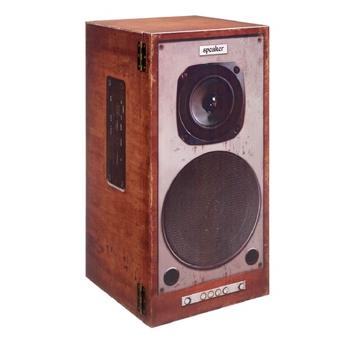 [2005-84248] Caja decorativa altavoz