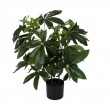 [0023-612203] Planta artificial pachira 70 cm