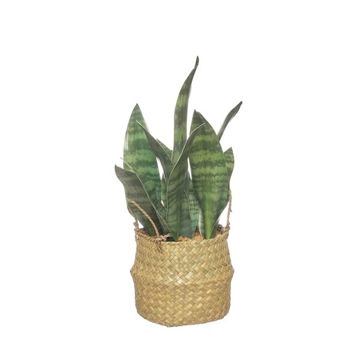[2005-43484] Planta artificial Sansevieria 40 cm