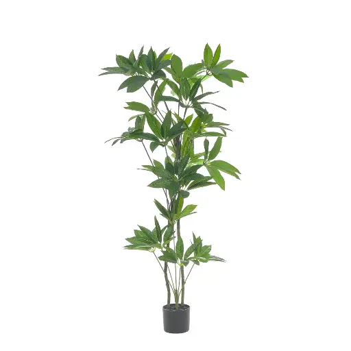[2005-43509] Planta artificial Scheffera Actinophyl 155 cm