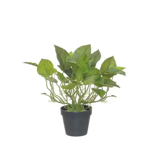 [2005-43527] Planta artificial Scindapsus 30 cm